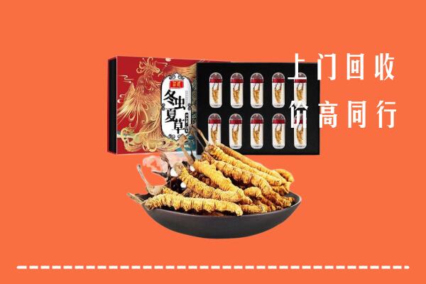收购行情：玉树市回收虫草